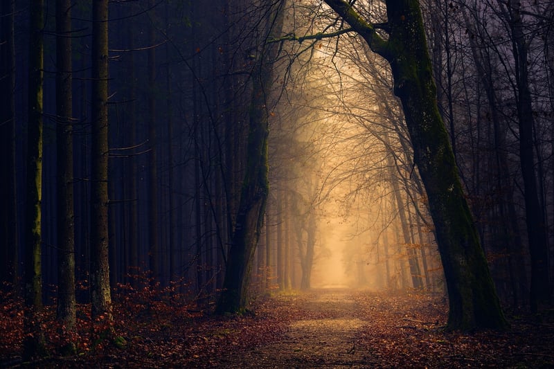 Enchanting Lighting Designs