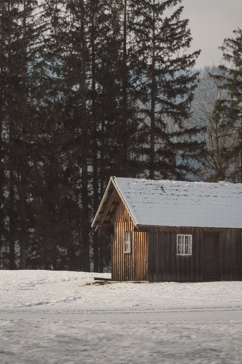 Whimsical Woodland Retreats